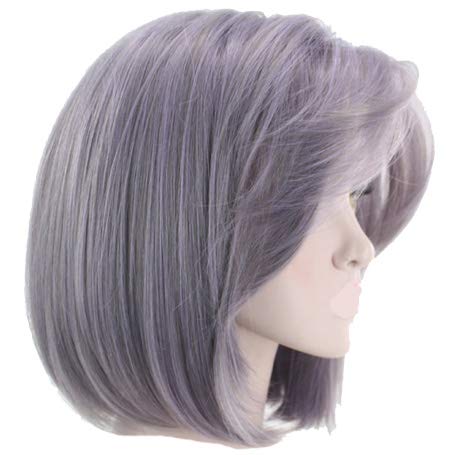 Purple2073: Jistl Synthetic Short Hair Short Wigs For Women Bob Straight Hair Cosplay Wigs Synthetic Hair Wig For Women Shoulder Length 33Cm (Purple2073)