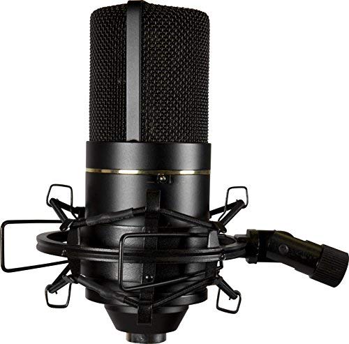770 Condenser Microphone for Podcasting, Singing, Home Studio Recording, Gaming & Streaming | XLR | Large Diaphragm | Cardiod (Black)