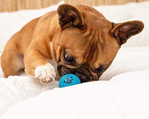 Talking Babble Ball - Interactive Chew Dog Toy - Large