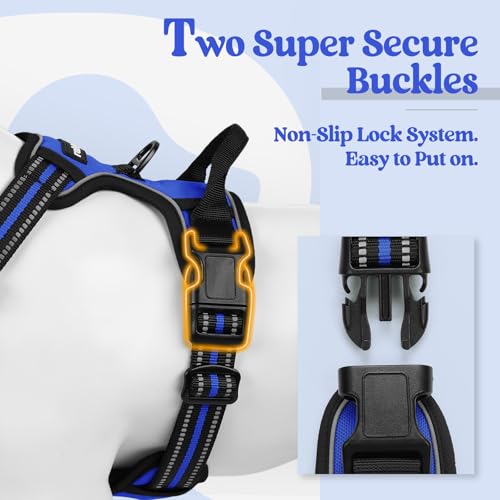 Dog Harness No Pull with 2 Leash Clips, Adjustable Soft Padded, Reflective Oxford No Choke Pet Vest with Easy Control Handle for Large Dogs, Dazzling Blue, L