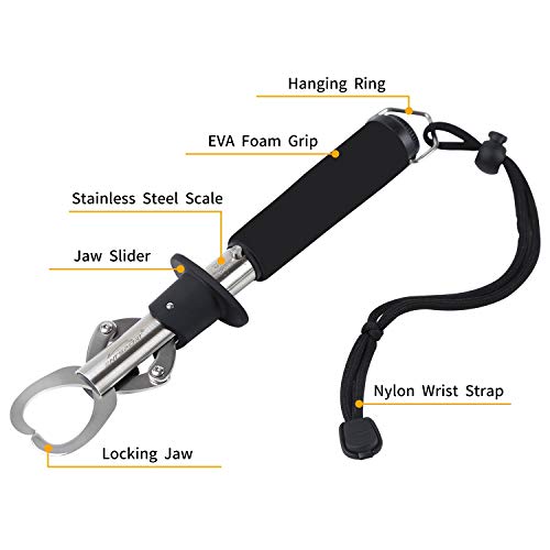 Fish Lip Gripper Fish Scales Professional Fish Holder Stainless Steel Grabber 40 Pound Fish Lip Grip Tool with Weight Scale