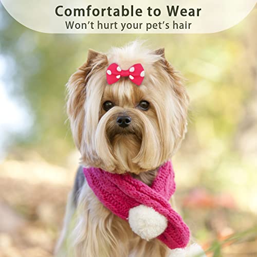 100PCS Cute Pet Grooming Accessories - Colored Polka Dot Hair Bows with Rubber Bands for Small Dogs and Puppies like Yorkies - 50 Pairs
