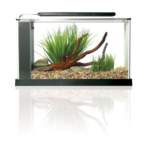 SPEC Aquarium Kit, Aquarium with LED Lighting and 3-Stage Filtration System, 5-Gallon
