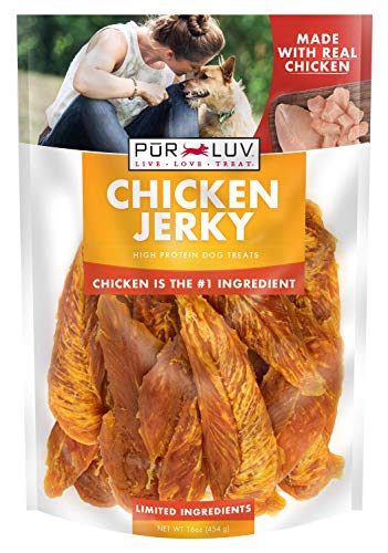Dog Treats, Chicken Jerky for Dogs, Made with 100% Real Chicken Breast, 16 Ounces, Healthy, Easily Digestible, Long-Lasting, High Protein Dog Treat, Satisfies Dog's Urge to Chew (Pack of 1)