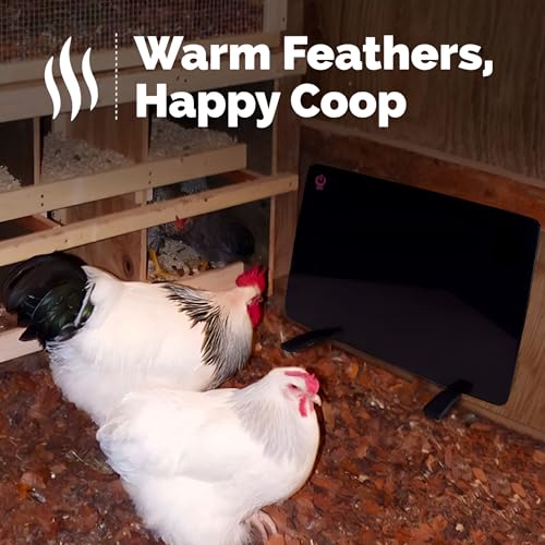Cozy Products Cozy Coop, Chicken Coop Heater, Flat-Panel Radiant Heater with Thermal Protector, Energy-Efficient, Easy to Install, Ideal for Small Animals, 200 Watts, Black
