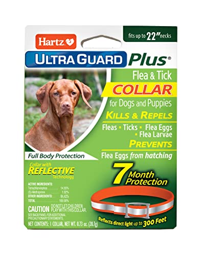 UltraGuard Plus Flea & Tick Collar for Dogs and Puppies, 7 Month Flea and Tick Prevention and Protection Per Collar, Reflective Orange, up to 22 Inch Neck