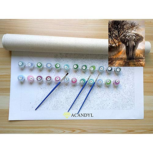 Paint by Number Elephant DIY Painting Paint by Number Kit for Kids Adults DIY Canvas Painting by Numbers Acrylic Painting Arts Craft for Home Wall Decoration Paint by Numbers Elephant 16x20 In