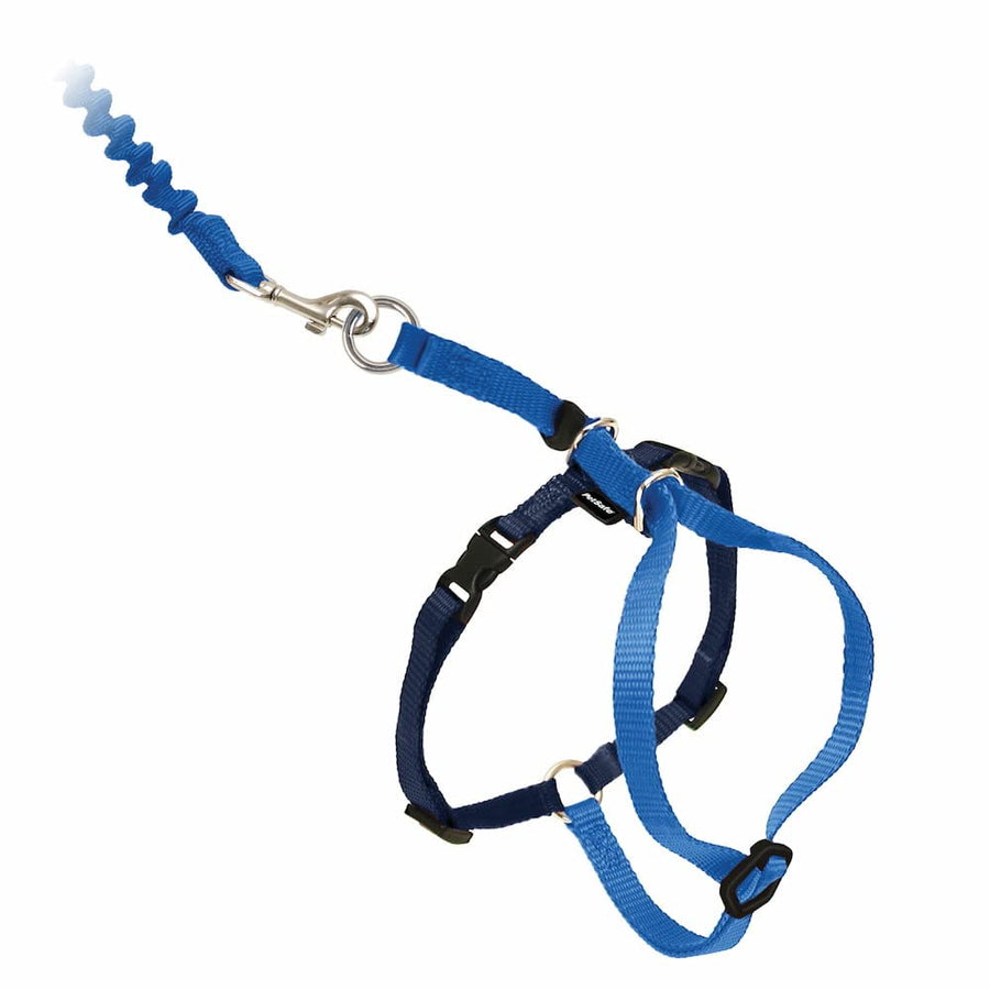 Come with Me Kitty Harness and Bungee Leash, Large, Royal Blue