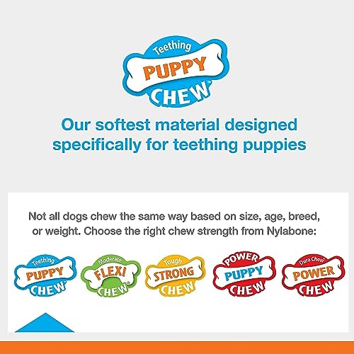 Puppy Chew Key Ring Toy, Toys for Teething Puppies, Multi Color, Bacon Flavor, Small - Up to 25 lbs, 1 Count