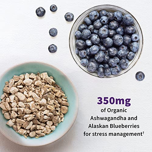 Probiotics Mood+ Dr Formulated Acidophilus Probiotic Supplement - Promotes Emotional Well-Being, Relaxation and Digestive Balance - Ashwagandha for Stress Management, 60 Veggie Caps