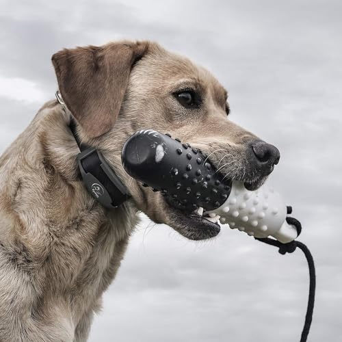 Brand FieldTrainer 425X/SportHunter 825 Add-A-Dog Collar, Remote Training Collar, Hunting Dog Collar - Waterproof and Rechargeable with Tone, Vibration, and Shock (Orange)