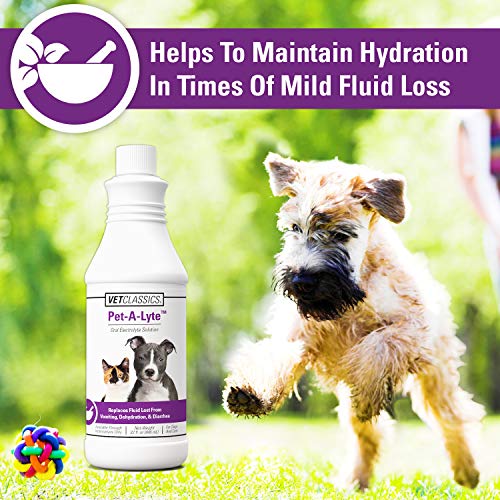 Pet-A-Lyte Oral Electrolyte Solution for Dogs and Cats – Helps Replace Fluids Lost from Pet Dehydration, Diarrhea, Vomiting – Replaces Dog Electrolytes – 32 Oz.