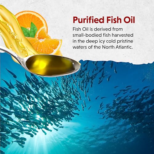 Barlean's Omega 3 Fish Oil Supplement, Liquid EPA and DHA Fatty Acid Supplements Support, High Potency Orange Flavored, 8 oz