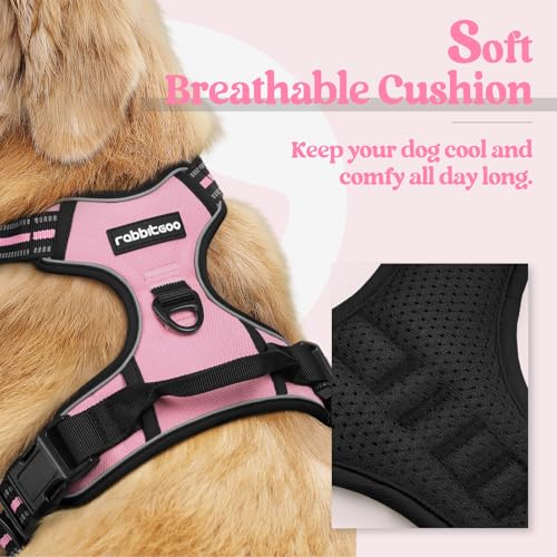 Dog Harness No Pull with 2 Leash Clips, Adjustable Soft Padded, Reflective Oxford No Choke Pet Vest with Easy Control Handle for Medium Sized Dogs, Pink, M