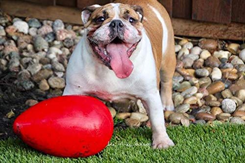 Jolly Egg Dog Toy, 12 Inches/Large, Red