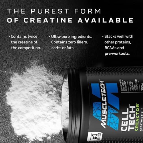 Cell-Tech Creactor - Creatine HCl Formula - Muscle Builder for Men & Women - Creatine HCl + Free-Acid Creatine Supplements - Fruit Punch Extreme, 120 Servings