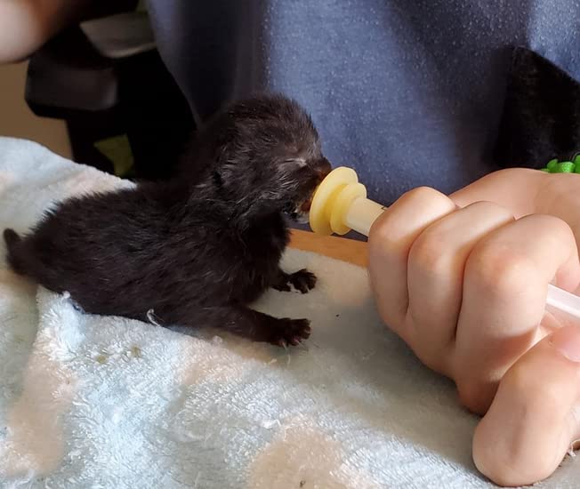 10 Pack Original Nipples for Pets and Wildlifes