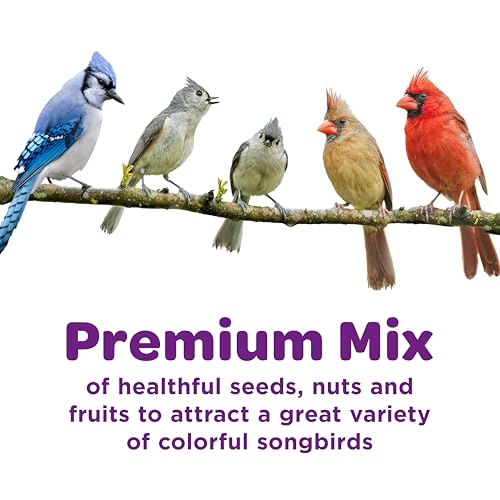 Nut & Fruit Wild Bird Seed, 5 lb
