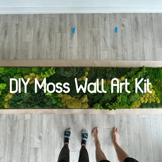 Prefleur Preserved Reindeer Craft Moss Natural Green DIY Kit Gardenning Art Wall Decor Florist Easter Table Decor Wedding Decor (0.85lb)(Green-02)