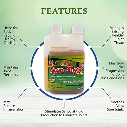 1500 - Liquid Glucosamine Juice Formula - Helps Support Joint, Cartilage Health - Chondroitin Sulfate Drink Supplement for Men, Women - Mandarin Orange Flavor (32 Day Supply)