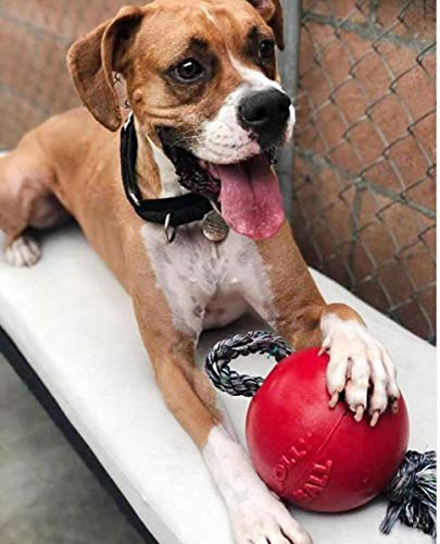 Romp-n-Roll Rope and Ball Dog Toy, 6 Inches/Medium, Red (606 RD)