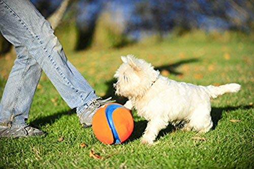 Kick Fetch Ball Dog Toy, Small (6 Inch)