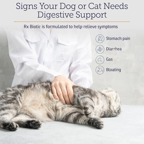 Rx Biotic Probiotics for Dogs & Cats - Digestive Supplement for Pets - 2.12 oz
