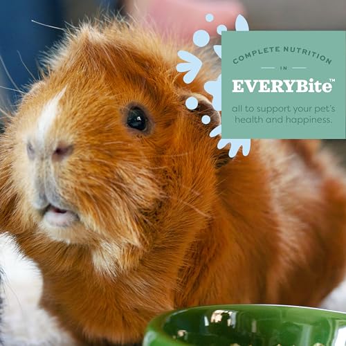 Essentials Guinea Pig Food, Adult Guinea Pig, Made with Timothy Hay, Pet Food Pellets with Vitamin C, Small Animal Pet Products, Made in USA, High Fiber, 10 lb. bag