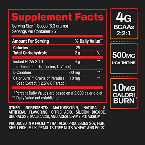 Best BCAA Shredded - Caffeine-Free Thermogenic Recovery Formula - BCAA Powder - Lean Muscle Building - Accelerated Recovery - Weight Loss - Hydration - Fruit Punch - 25 Servings - 9.7 oz.