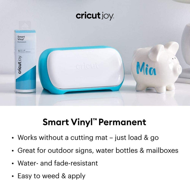 Joy Permanent (10 ft / 3 m), White Smart Vinyl, 10ft