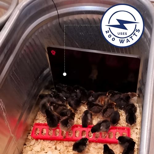 Cozy Products Cozy Coop, Chicken Coop Heater, Flat-Panel Radiant Heater with Thermal Protector, Energy-Efficient, Easy to Install, Ideal for Small Animals, 200 Watts, Black