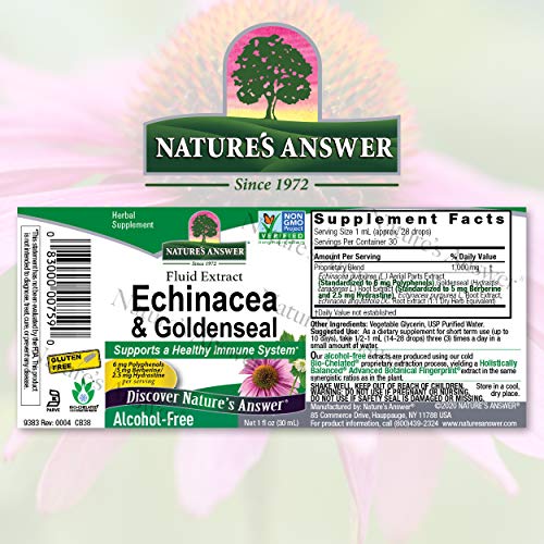 Nature's Answer Enchinacea & Goldenseal | Supports a Healthy Immune System | Super Concentrated Pure Extract | Alcohol-Free, Gluten-Free, Vegan & Kosher Certified 1oz