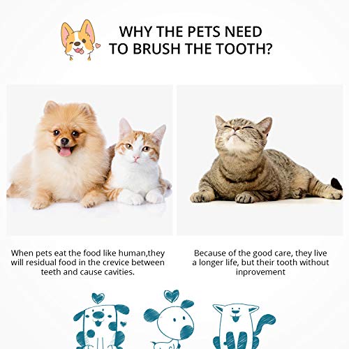 3 Pieces Small Pet Toothbrush Tufted Toothbrush End-Tuft Toothbrush Tapered Trim Toothbrush Mini Single Head Ended Pet Toothbrush for Small Dog Cat