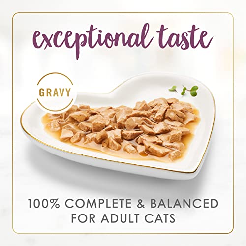 Purina Gravy Lovers Chicken Feast in Gravy Grilled Gourmet Cat Food in Wet Cat Food Gravy - (Pack of 24) 3 oz. Cans