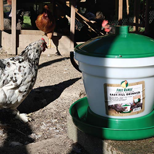 Large Flock Easy-Fill Poultry Drinker, Made with BPA-Free Plastic, Top Fill Design, 6.25 Gallon