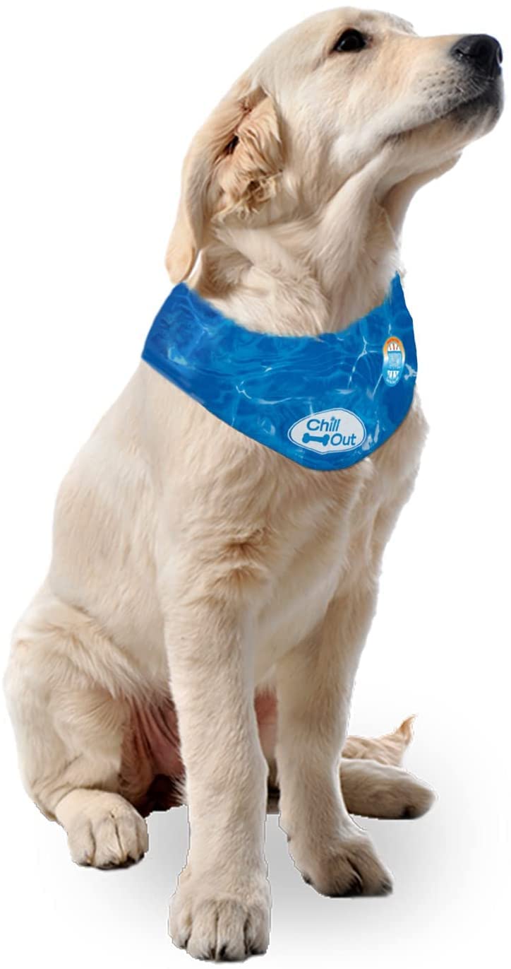Chill Out Ice Bandana, Large
