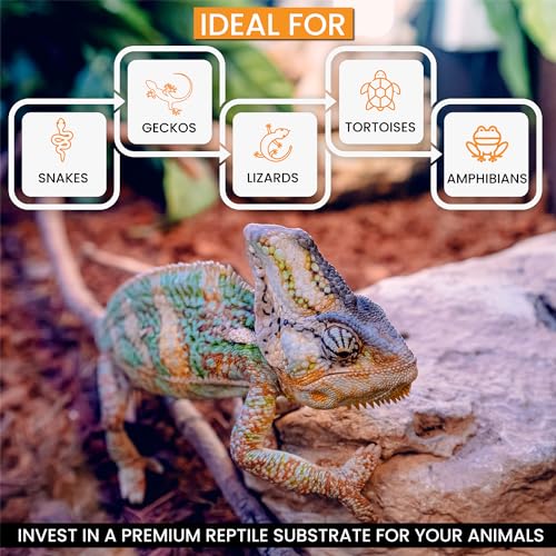 ReptiChip Reptile Substrate Coconut Chip Bedding 72 Quart Compressed Organic Coco Husk Block for Snake Habitat, Ball Python Terrarium, Turtle Tanks, Tortoise Enclosure