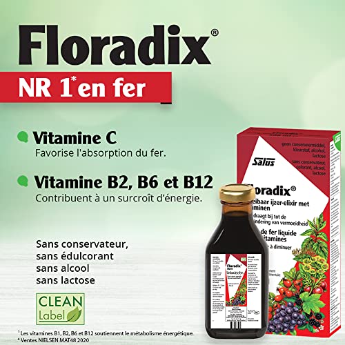 Floradix Liquid Iron and Vitamin Formula 250ml