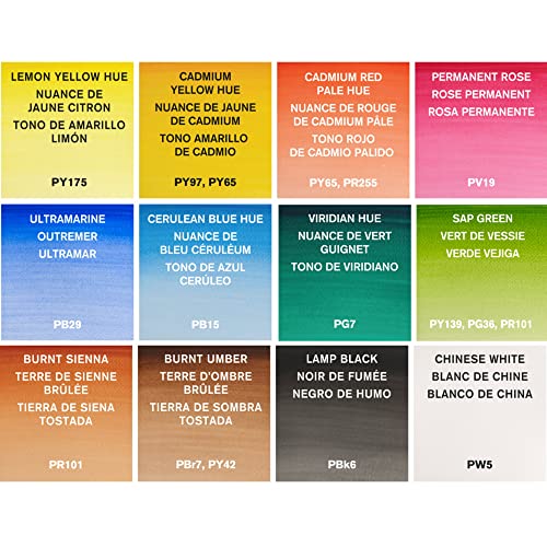 Winsor & Newton Cotman Watercolor Paint Set, Palette Pocket Set, 12 Half Pan w/ Brush