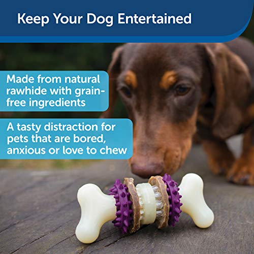 ® Busy Buddy® Bristle Bone®, Medium, Helps Keep Your Dog's Teeth Clean, Long-Lasting Playtime