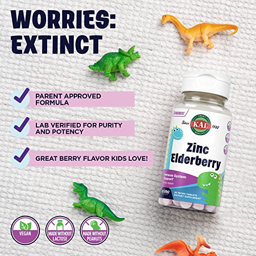 Kids Zinc Elderberry Dinosaurs, Immune Support Supplement* for Children w/ Sambucus Elderberry, Fast Dissolving Mixed Berry ActivMelts, Fun, Tasty Dino Shapes, Vegan, 90 Servings, 90 Micro Tablets