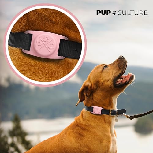 AirTag Dog Collar | Durable & Protective Dog AirTag Holder - Track Your Pet Using Apple AirTag Technology - Dog Collar AirTag Holder -for Dogs and Cats