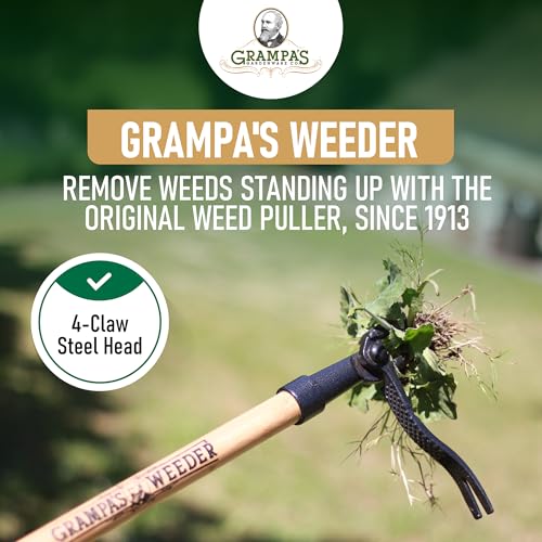 - The Original Stand Up Weed Puller Tool with Long Handle - Made with Real Bamboo & 4-Claw Steel Head Design - Easily Remove Weeds Without Bending, Pulling, or Kneeling.
