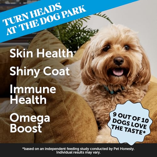 Skin Health Salmon Chews - Itch Relief for Dogs, Omega 3 Fish Oil for Dogs, Natural Salmon Oil for Dogs Chews for Healthy Skin & Coat, May Reduce Shedding, Dog Fish Oil Supplements - 90 Ct