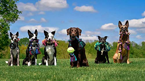 Mammoth Flossy Chews Rope Tug – Premium Cotton-Poly Tug Toy for Dogs – Interactive Rope Toy (Colors May Vary)