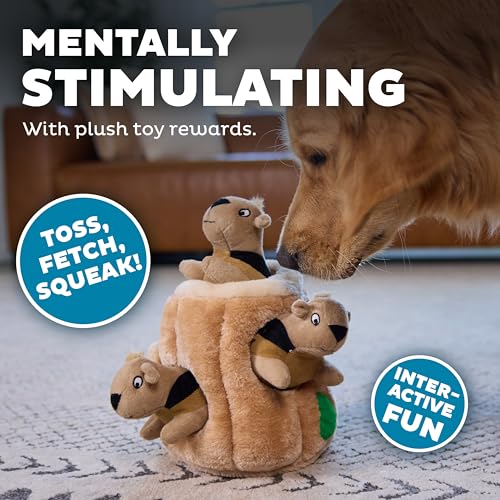 Hide A Squirrel Plush Dog Toy Puzzle, Large