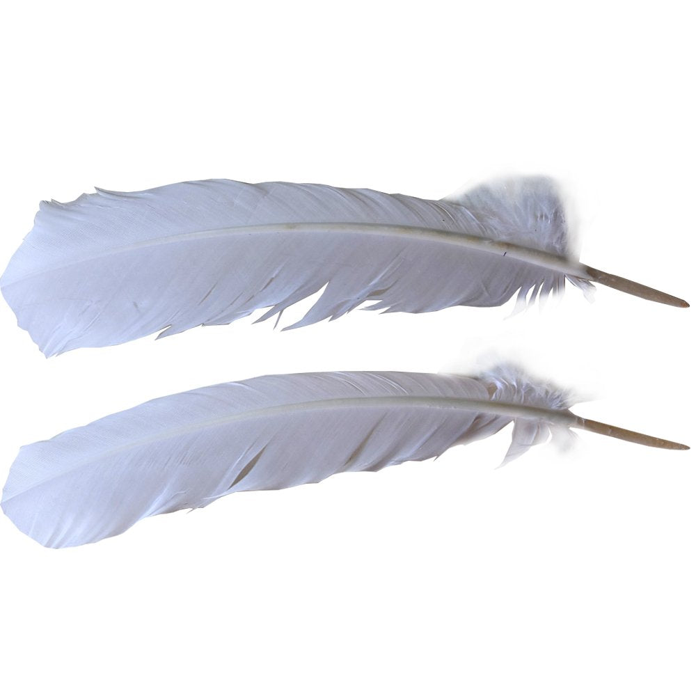 120 Pcs Turkey Quill Feathers 10-12 inches White