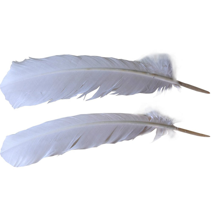 120 Pcs Turkey Quill Feathers 10-12 inches White