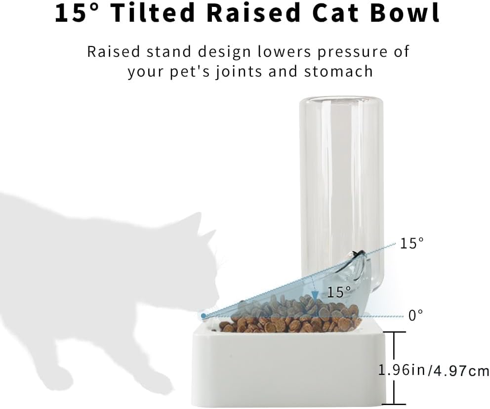 Tilted Cat Food Bowl with Feeding Mat for Food and Water, Food Feeding Dishes for Raised Cats and Puppies