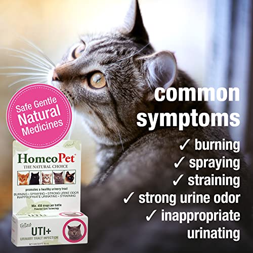 Feline UTI Plus, Safe and Natural Urinary Tract Medicine for Cats, Feline Urinary Tract Support, 15 Milliliters